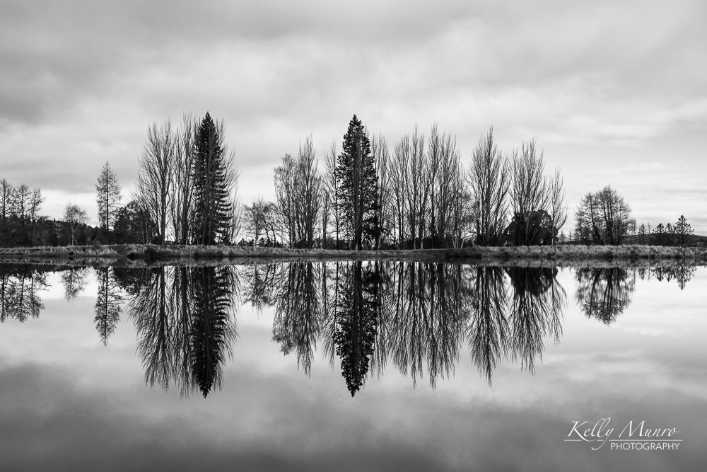 Coal Pit Dam Reflections
