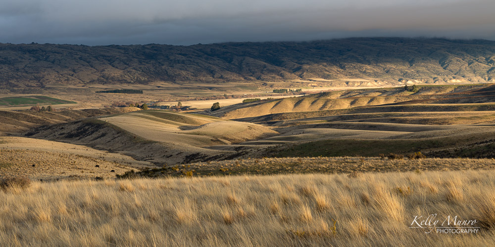 Golden Hour in the Maniototo