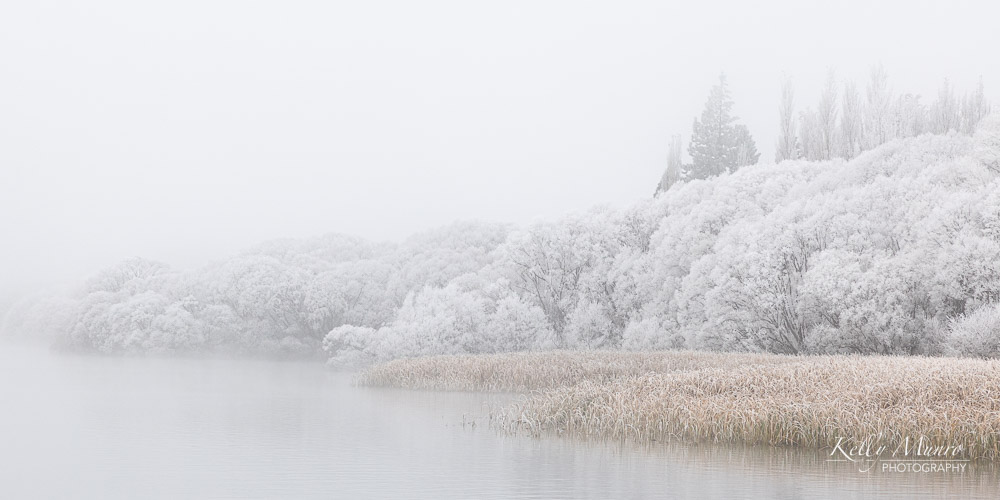 Hoar Frost at Lake Benmore